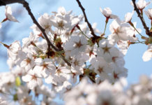 Ruling on ‘Itikaaf